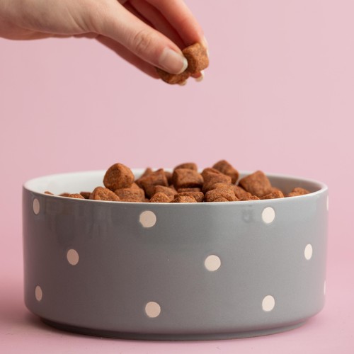 Mason Cash Polka Dot Grey 18cm Pet Bowl