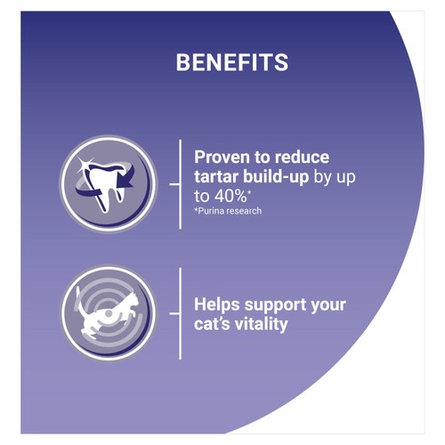 Purina One Salmon Dry Cat Food