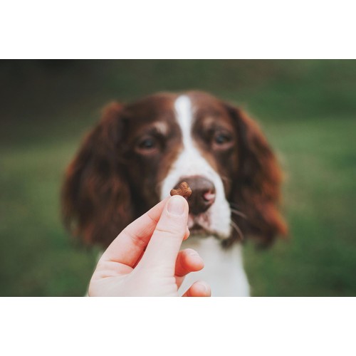 Clydach Farm Grain Free Poultry Dog Treats