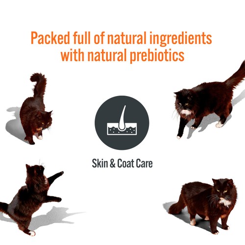 HiLife Functional Cat Licks Skin & Coat Care