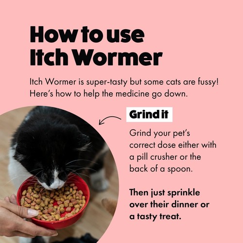 Itch Wormer Tablet Treatment For Cats (1kg +)