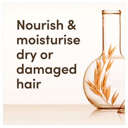 Aveeno Scalp Soothing Daily Moisture Oat Milk Shampoo for Dry Hair