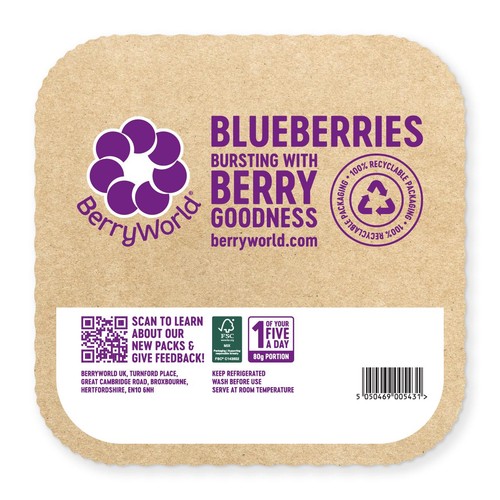 BerryWorld Blueberries