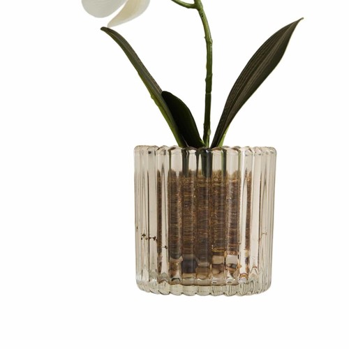M&S Artificial Small Orchid in Glass Pot, White