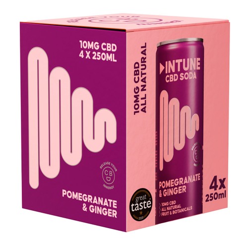 INTUNE Pomegranate & Ginger Sparkling CBD Drink