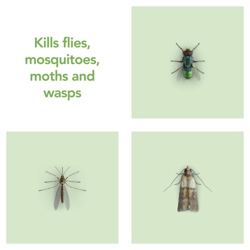Raid Plant Based Fly, Wasp & Mosquito Killer Aerosol Spray