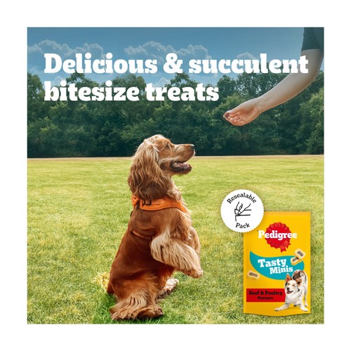 Pedigree Tasty Minis Adult Dog Treats Beef & Poultry Chewy Slices