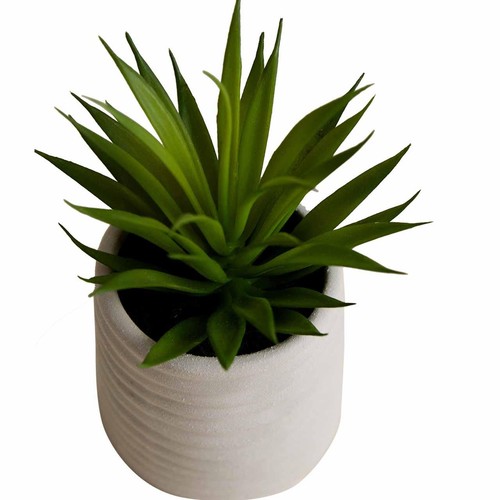 M&S Artificial Mini Air Plant in Ceramic Pot, Natural