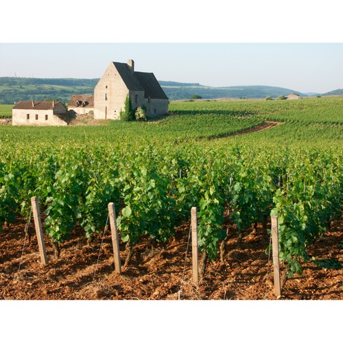 Louis Jadot Pouilly Fuisse