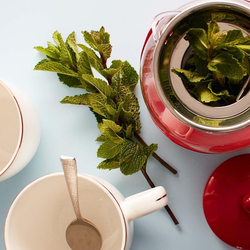 Ocado Mint