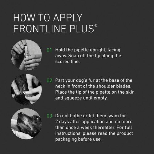 FRONTLINE Plus Flea & Tick Treatment Medium Dog 10-20kg