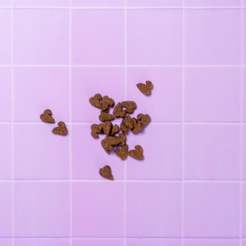 Pooch & Mutt Duck and Rosemary Dental Meaty Dog Treats