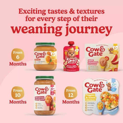 Cow & Gate Carrot Baby Food Snack Jar 6+ Months