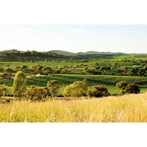 Jim Barry McRae Wood Clare Valley Shiraz
