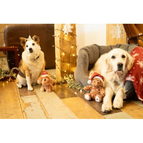 Petface Stella Scruffy Plush Dog Toy