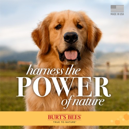 Burt's Bees Oatmeal Dog Conditioner for Dogs