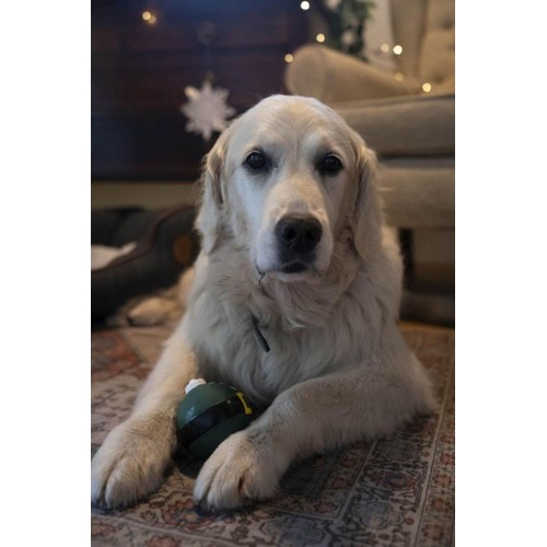 Petface Latex Elf Bauble Dog Toy