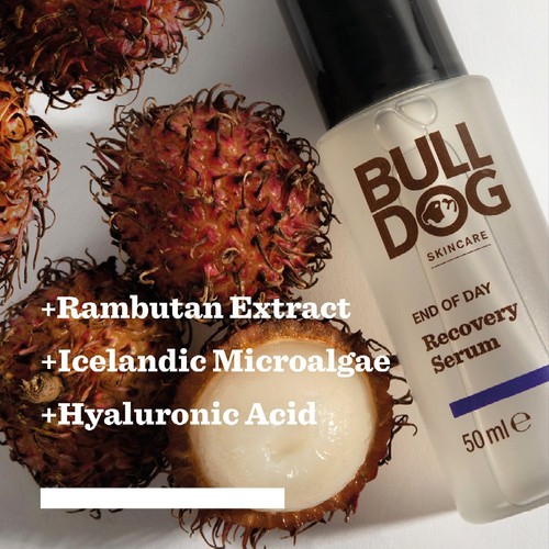 Bulldog Advanced End of Day Face Serum