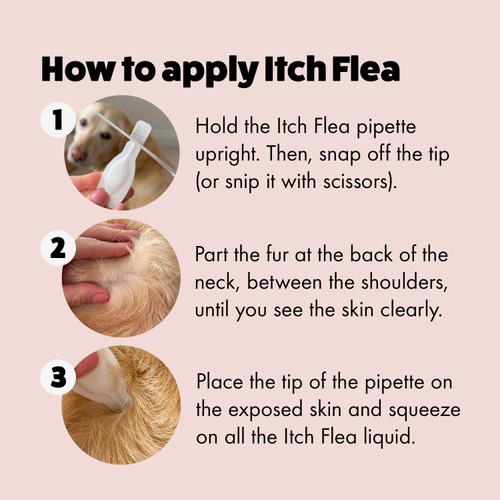 Itch Flea Medium Dog Spot-On Flea & Tick treatment (10-20kg)