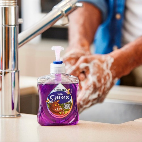 Carex The Gruffalo Forest Fruits Antibacterial Handwash