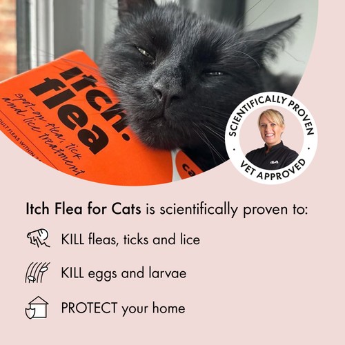 Itch Flea Cat Spot-On Flea & Tick treatment (1kg+)