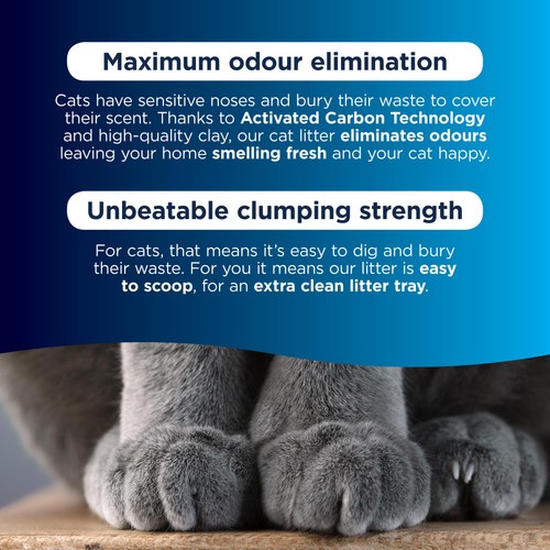 Ever Clean Senior Cat Clumping Cat Litter