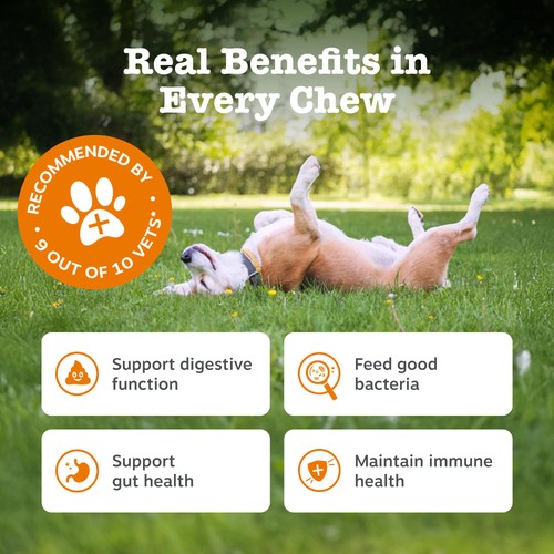 Zesty Paws Probiotic Dog Chews Pumpkin Flavour