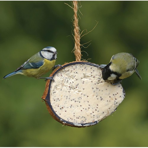 RSPB Coconut Treat