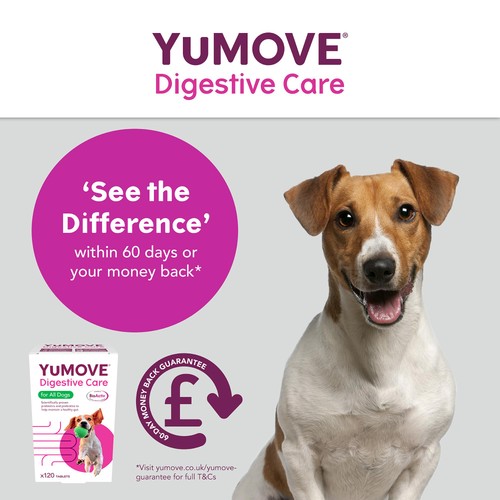 YuMOVE Dog Digestive Health Probiotics Supplement