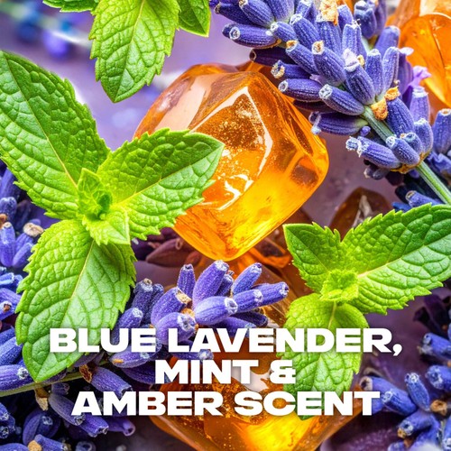 Lynx Fine Fragrance Collection Premium Deodorant Bodyspray Blue Lavender