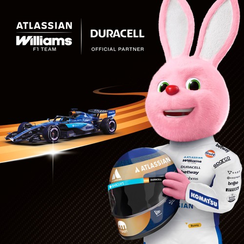 Duracell Plus AAA Batteries