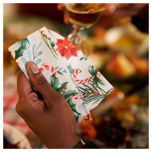 Seasonal Delight 33cm 3-Ply Paper Napkins