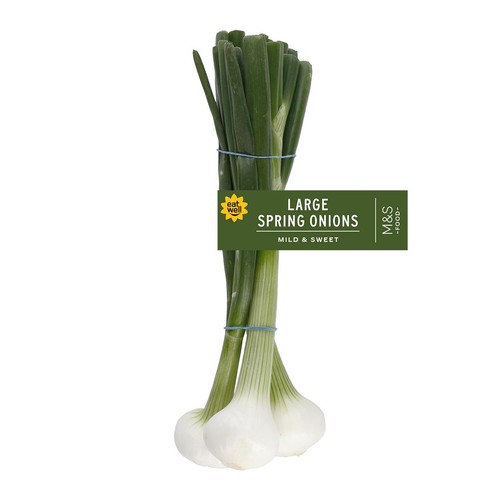 M&S Jumbo Spring Onions
