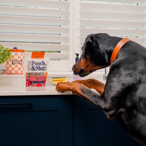 Pooch and Mutt High Protein Beef Jerky