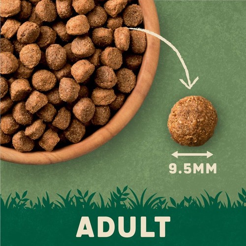 Harrington's Rich In Salmon & Potato Dry Dog Food