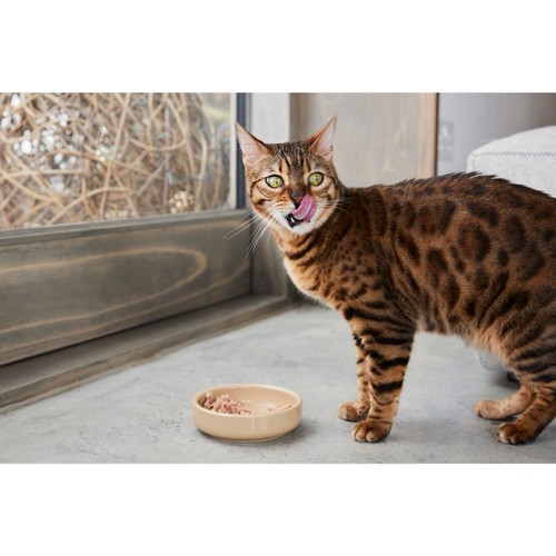 Thrive Complete Cat Food Tuna & Salmon