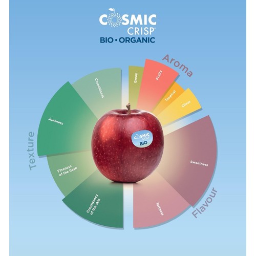 Cosmic Crisp Organic Apples