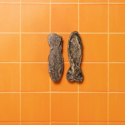 Pooch and Mutt Long-Lasting Fish Hide Chews