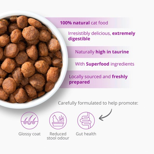 Catit Recipes Dry Adult Indoor