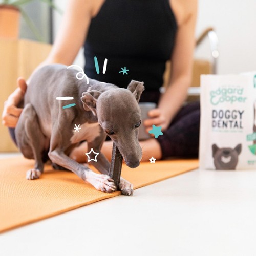 Edgard & Cooper Apple & Eucalyptus Small Dog Dental Sticks