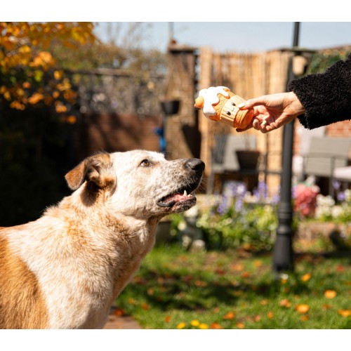 Spirit & Spook Luna Latte Dog Toy