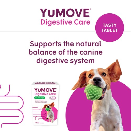 YuMOVE Dog Digestive Health Probiotics Supplement