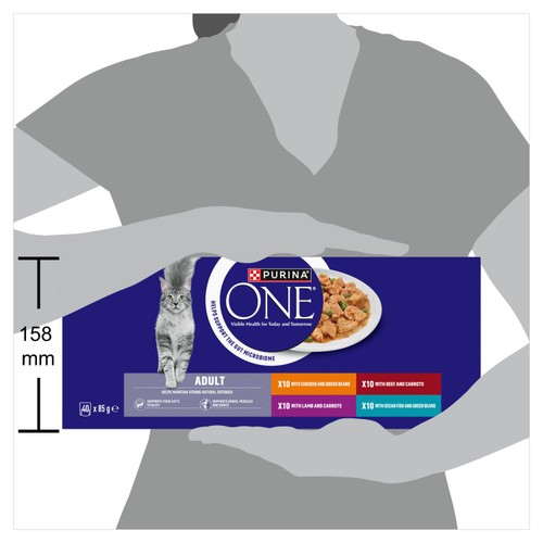 Purina One Mini Fillets Mixed Selection in Gravy Wet Cat Food 