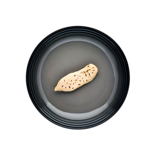 Encore Chicken Fillet with Rosemary Cat Treat