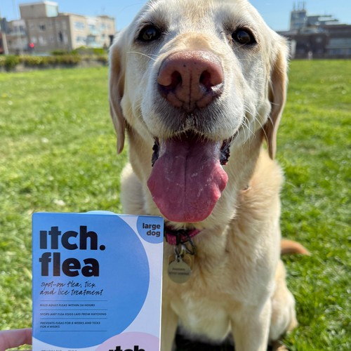 Itch Flea Large Dog Spot-On Flea & Tick treatment (20-40kg)