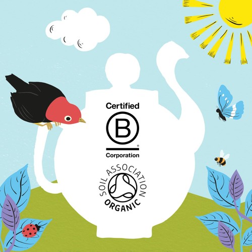Clipper Blackcurrant & Blueberry Organic Tea Bags
