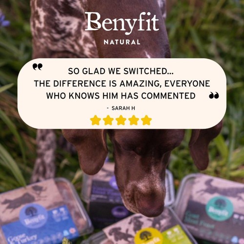 Benyfit Natural Tasty Turkey Complete Raw Dog Food