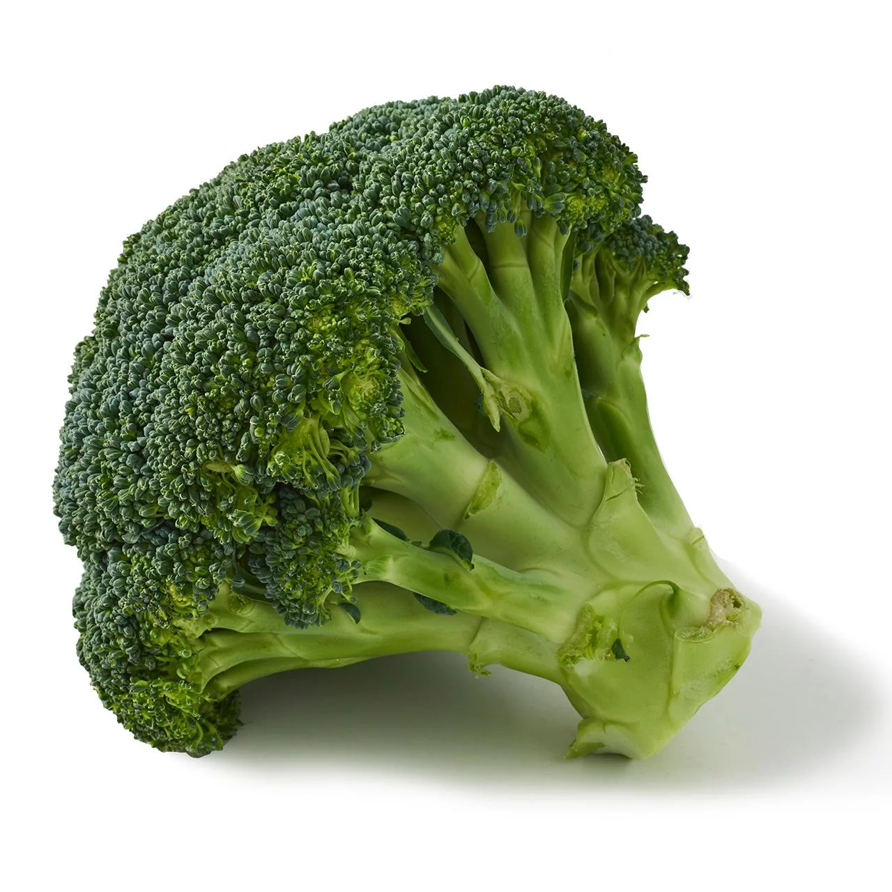 Fresh broccoli