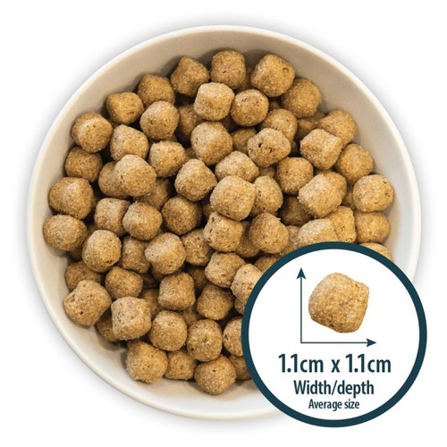 Burns Sensitive Adult Pork & Potato Dry Dog Food