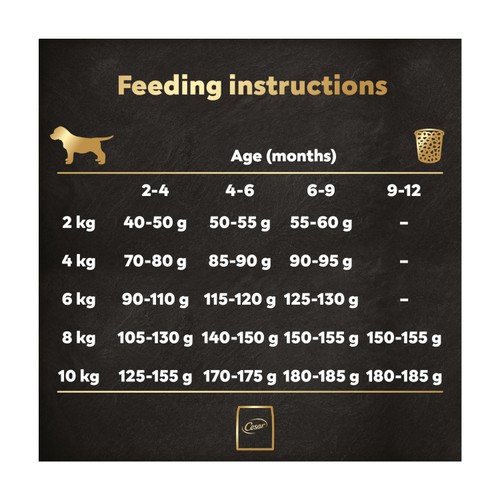 Cesar Complete Dry Puppy Food with Chicken, Rice and Vegetables 1.4kg